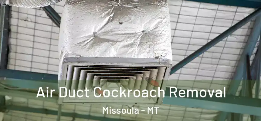 Air Duct Cockroach Removal Missoula - MT