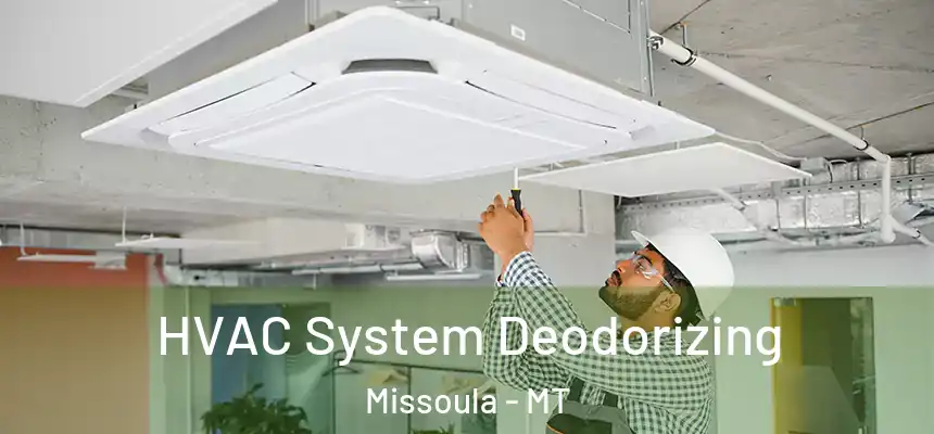 HVAC System Deodorizing Missoula - MT