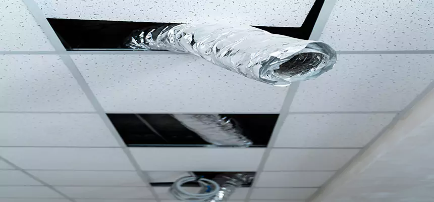 Our Air Duct Pet Hair Removal Services in Missoula, MT