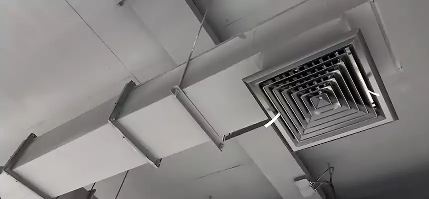 Our Rodent Droppings In Vents Services in Missoula, MT