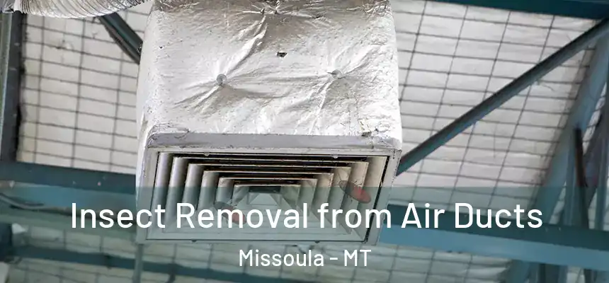 Insect Removal from Air Ducts Missoula - MT