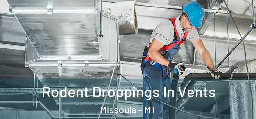 Rodent Droppings In Vents Missoula - MT
