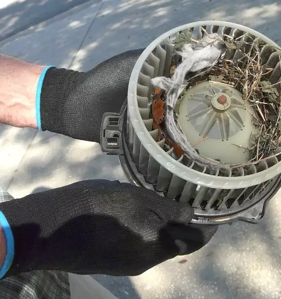 About Air Duct Mice Removal in Missoula, MT