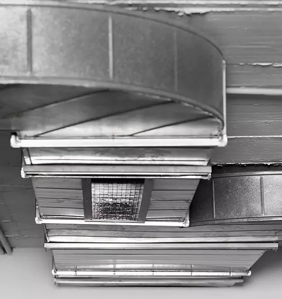 Professional Air Duct Pet Hair Removal in Missoula, MT