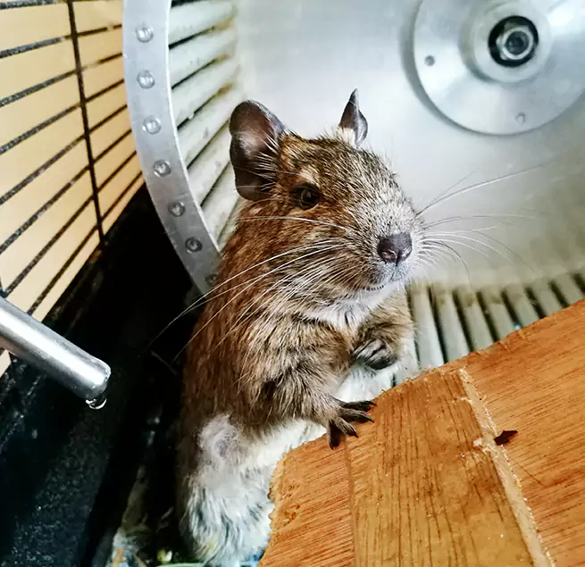 Why Homeowners & Businesses Trust Us Missoula, MT