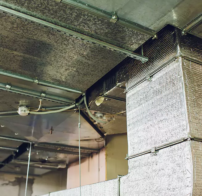 Why Homeowners & Businesses Trust Us in Missoula, MT?